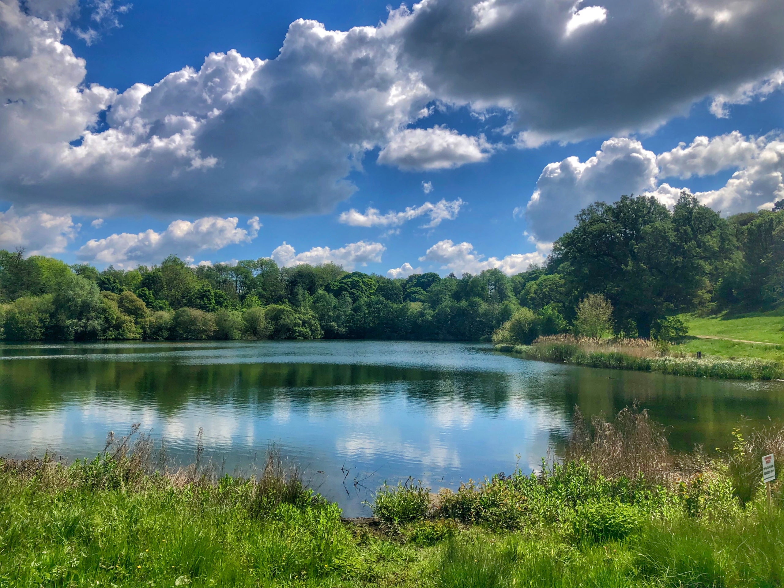 Image shows Panshanger Park with blue skys and a lake.